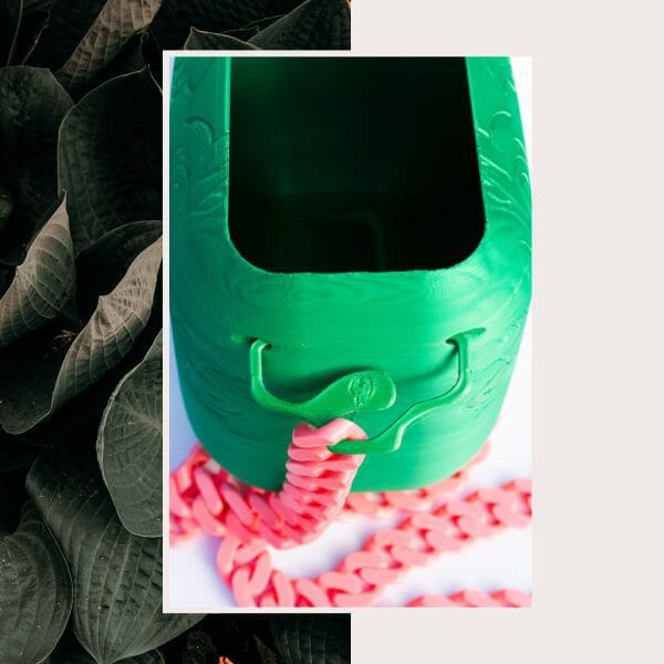 Cookie Bag Live Fashion