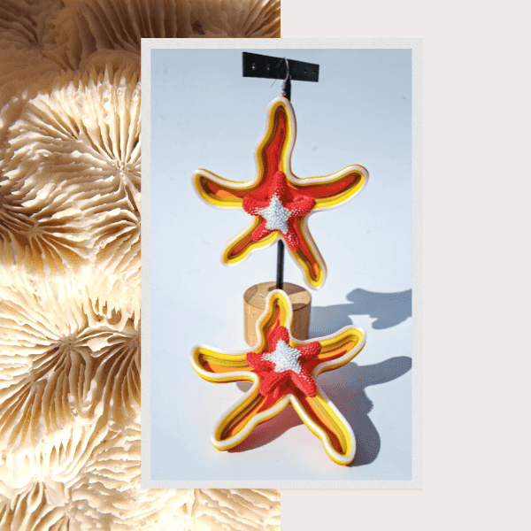 Pendientes estrella de fuego volcánico