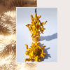Estrella_pendientes_3d_blancos-5.png Pendientes de Pulpo Dorados: Una Elegante Oda al Océano en el Tenerife Fashion Beach