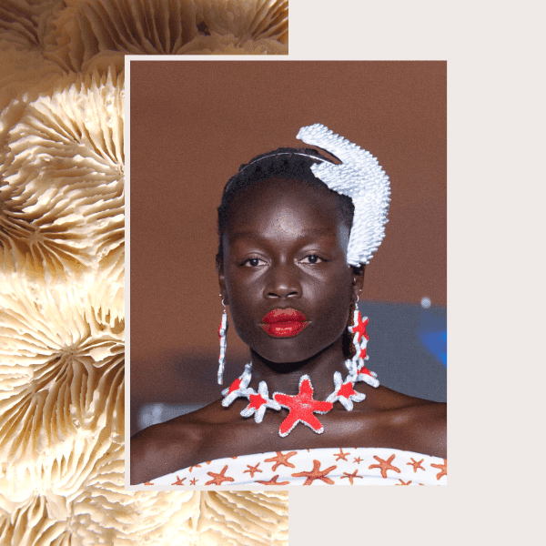 Estrella_roja.png Collar Estrella de mar fuego y hielo