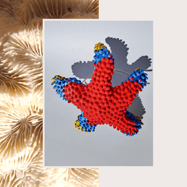 Estrella_tocado.png Tocado Estrella de Mar Radiante