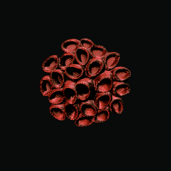 Anillo Coral de Fuego Edición Exclusiva Slow Love