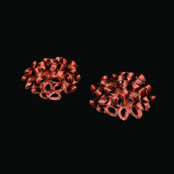Pendientes Coral de Fuego Edición Exclusiva Slow Love