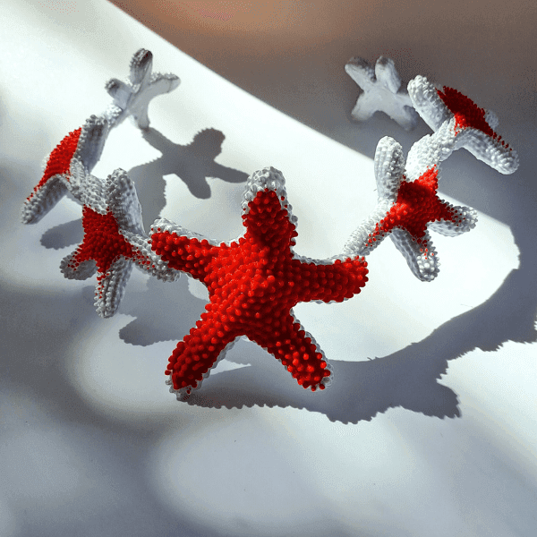 Collar Estrella de mar fuego y hielo